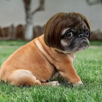 Cute Short Hair Wig Pet Headband, Funny Pet Wig Hair Accessories for Dogs & Cats