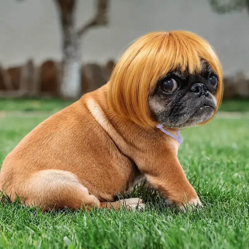 Cute Short Hair Wig Pet Headband, Funny Pet Wig Hair Accessories for Dogs & Cats