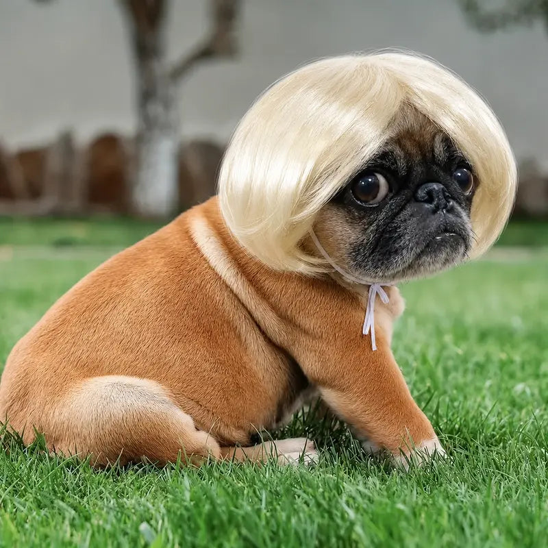 Cute Short Hair Wig Pet Headband, Funny Pet Wig Hair Accessories for Dogs & Cats