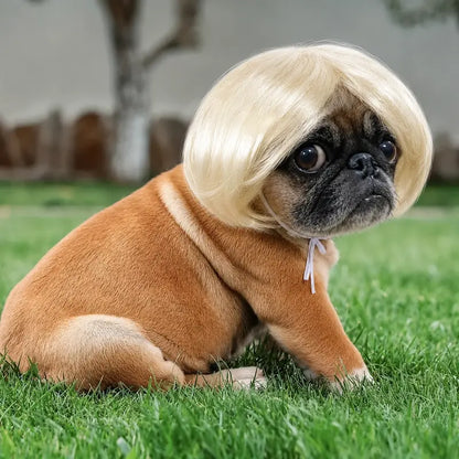 Cute Short Hair Wig Pet Headband, Funny Pet Wig Hair Accessories for Dogs & Cats