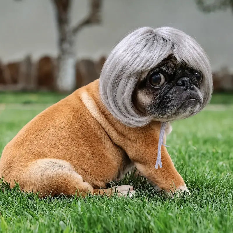 Cute Short Hair Wig Pet Headband, Funny Pet Wig Hair Accessories for Dogs & Cats